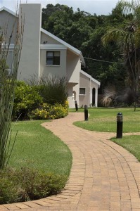 Well maintained lawn - Kloof Garden Service